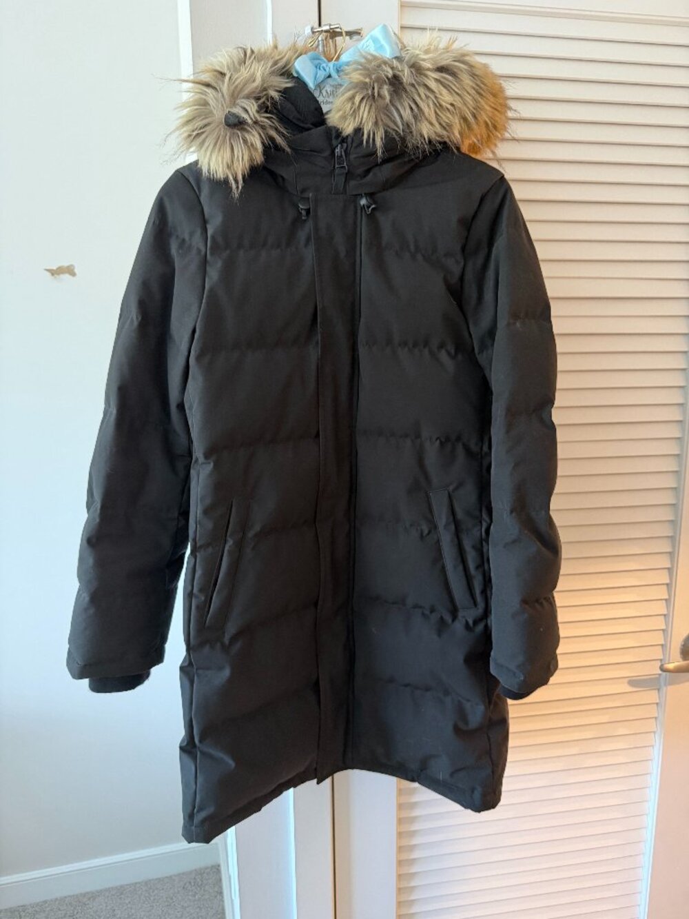 Aritzia Tna The Powder Parka Down Jacket with Removable Faux Fur Hood